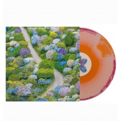 Fiddlehead - Between the...