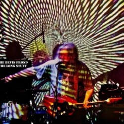 The Bevis Frond - The Long...