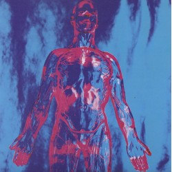 Nirvana - Sliver / Dive...