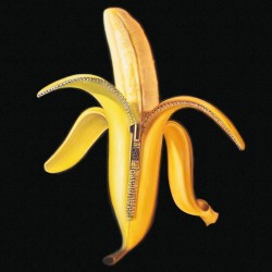 The Dandy Warhols - Welcome...
