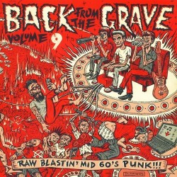 Various ‎– Back From The Grave Volume 9 Lp Vinyl Gatefold Sleeve