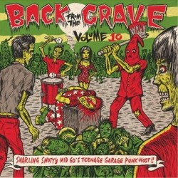 Various ‎– Back From The Grave Volume 10 Lp Vinyl Gatefold Sleeve