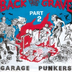 Various ‎– Back From The Grave Volume 2 Lp Vinil Portada Gatefold