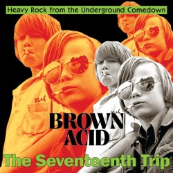 Various ‎– Brown Acid The...