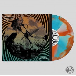 King Gizzard And The Lizard...