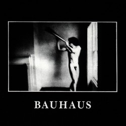 Bauhaus - In The Flat Field...