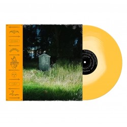 Frank Carter & The...