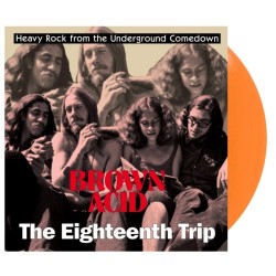 Various ‎– Brown Acid The...