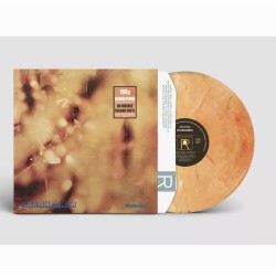 Steamhammer - Reflection Lp...