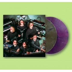 King Gizzard And The Lizard...