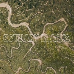 Estuary Blacks - Estuary Blacks Lp Vinilo De Color (Amarillo/Negro/Blanco) Edición Limitada Portada Gatefold
