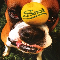 Snot - Get Some Lp Vinil...