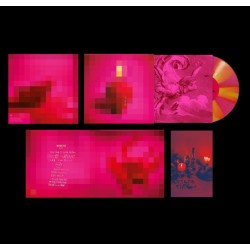 copy of The Kooks -...