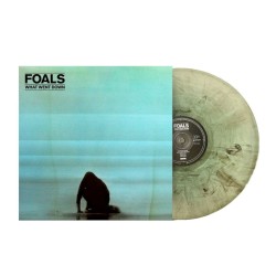 Foals - What Went Down Lp...