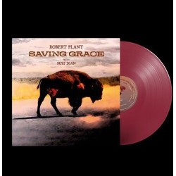 Robert Plant - Saving Grace...
