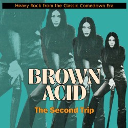 Various ‎– Brown Acid: The...