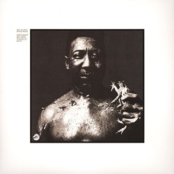 Muddy Waters ‎– After The Rain Lp Vinyl Release By Get On Down Records