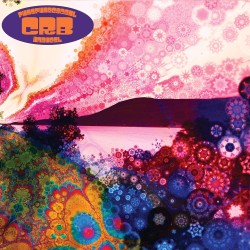 Chris Robinson Brotherhood...