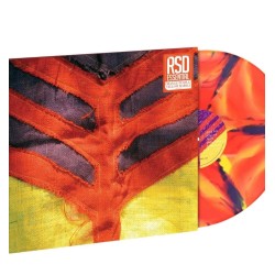 Yeah Yeah Yeahs – Show Your...