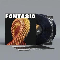 Slift - Fantasia 2 Lp...