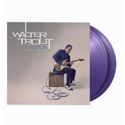 Walter Trout – Blues For...