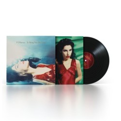 PJ Harvey - To Bring You My...