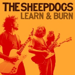 The Sheepdogs - Learn &...