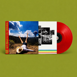 Geese - 3D Country Lp Color...