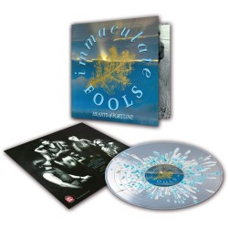 Immaculate Fools – Hearts...