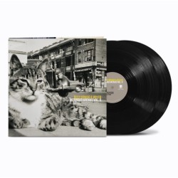 Billy Bragg And Wilco -...