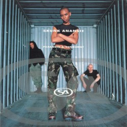 Skunk Anansie ‎– Paranoid &...