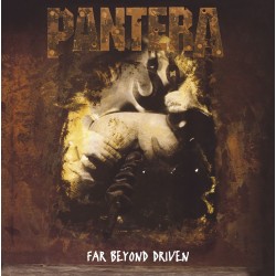 Pantera ‎– Far Beyong...