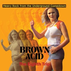 Various ‎– Brown Acid: The...