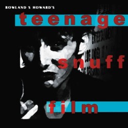 Rowland S. Howard - Teenage...