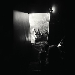 Metz ‎– Automat Lp + 7"...