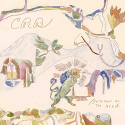 Chris Robinson Brotherhood - Barefoot In  The Head 2 Lp Vinyl New Album