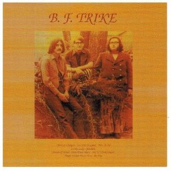B.F Trike - B.F Trike Lp Vinil Reedicio En Atlas Records