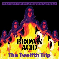 Various ‎– Brown Acid: The...
