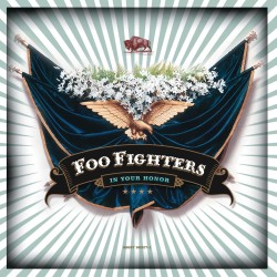 Foo Fighters - In Your...