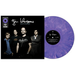 Gin Blossoms - Live In...