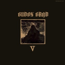 Budos Band – V Lp Black...